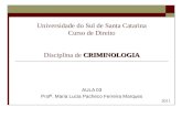 CRIMINOLOGIA Universidade do Sul de Santa Catarina Curso de Direito Disciplina de CRIMINOLOGIA AULA 03 Profª. Maria Lucia Pacheco Ferreira Marques 2011.