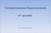 Comportamento Organizacional 6 apostila Prof. Daniel Lima Vial´go