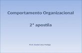 Comportamento Organizacional 2ª apostila Prof. Daniel Lima Vialôgo.