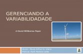 GERENCIANDO A VARIABILIDADADE Aluno : Paulo Arthur G. Vieira Prof.(a): Ruth Pastora Leão A David MillBorrow Paper.