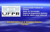 BIOMATERIAIS E BIOMECÂNICA TQ-064 Universidade Federal do Paraná Universidade Federal do Paraná Setor de Tecnologia Setor de Tecnologia Depto de Engenharia.