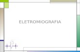 ELETROMIOGRAFIA. DEFINIÇÃO ELETROMIOGRAFIA (EMG): Electro – electric Myo – muscle Graphy – to graph.