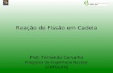 Reação de Fissão em Cadeia Prof. Fernando Carvalho Programa de Engenharia Nuclear COPPE/UFRJ.