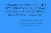 DINÂMICA E CRESCIMENTO DEMOGRÁFICO DA REGIÃO METROPOLITANA DE BELO HORIZONTE - 1960/2000 André Junqueira Caetano José Irineu Rangel Rigotti ( Professores.