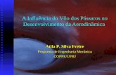 A Influência do Vôo dos Pássaros no Desenvolvimento da Aerodinâmica Atila P. Silva Freire Programa de Engenharia Mecânica COPPE/UFRJ.