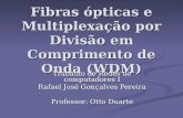 Fibras ópticas e Multiplexação por Divisão em Comprimento de Onda (WDM) Trabalho de Redes de computadores I Rafael José Gonçalves Pereira Professor: Otto.