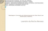 Modelagem e Simulação do Hidrotratamento do Óleo Diesel com Desativação Catalítica Leandro da Rocha Novaes UNIVERSIDADE FEDERAL DO RIO DE JANEIRO PROGRAMA.