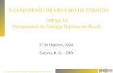 X Congresso Brasileiro de Energia - Perspectivas da Energia Nuclear MESA VI Perspectivas da Energia Nuclear no Brasil 27 de Outubro, 2004 Esteves, R. G.