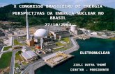X CONGRESSO BRASILEIRO DE ENERGIA PERSPECTIVAS DA ENERGIA NUCLEAR NO BRASIL 27/10/2004 ELETRONUCLEAR ZIELI DUTRA THOMÉ DIRETOR - PRESIDENTE.