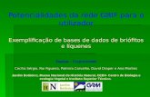 Exemplificação de bases de dados de briófitos e líquenes Equipa - Cryptomodel Cecília Sérgio, Rui Figueira, Palmira Carvalho, David Draper e Ana Martins.