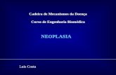 Cadeira de Mecanismos da Doença Curso de Engenharia Biomédica NEOPLASIA Luis Costa.