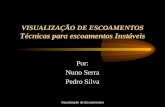 Visualização de Escoamentos VISUALIZAÇÃO DE ESCOAMENTOS Técnicas para escoamentos Instáveis Por: Nuno Serra Pedro Silva.