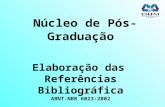 Núcleo de Pós-Graduação Elaboração das Referências Bibliográfica ABNT-NBR 6023:2002 Prof. Ms. Sérgio H. Braz.