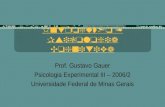 I ntrodução à Psicologia Cognitiva Prof. Gustavo Gauer Psicologia Experimental III – 2006/2 Universidade Federal de Minas Gerais.