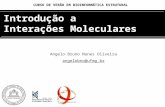 CURSO DE VERÃO EM BIOINFORMÁTICA ESTRUTURAL Angelo Bruno Nunes Oliveira angelobno@ufmg.br Introdução a Interações Moleculares.