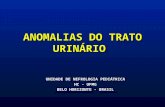 ANOMALIAS DO TRATO URINÁRIO UNIDADE DE NEFROLOGIA PEDIÁTRICA HC - UFMG BELO HORIZONTE - BRASIL.