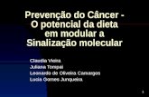 1 Prevenção do Câncer - O potencial da dieta em modular a Sinalização molecular Claudia Vieira Juliana Tompai Leonardo de Oliveira Camargos Lucia Gomes.