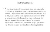 HEMOGLOBINA A hemoglobina é composta por uma porção proteica, a globina, e um composto corado, o heme. A globina tem 4 cadeias proteicas, 2 a e 2 b, cada.