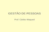 GESTÃO DE PESSOAS Prof. Cárbio Waqued ASPECTOS BÁSICOS DA GESTÃO DE PESSOAS.