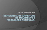 Prof. Esp. Kemil Rocha Sousa. Amplitude de Movimento (ADM) O conjunto de exercícios que visa à avaliação ou normalização da amplitude de movimento (ADM)