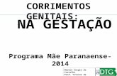 CORRIMENTOS GENITAIS: NA GESTAÇÃO Programa Mãe Paranaense-2014 Newton Sergio de Carvalho Prof. Titular de Ginecologia DTG - UFPR.