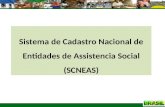 1 Sistema de Cadastro Nacional de Entidades de Assistencia Social (SCNEAS)