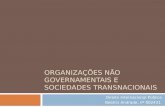 ORGANIZAÇÕES NÃO GOVERNAMENTAIS E SOCIEDADES TRANSNACIONAIS Direito Internacional Público Beatriz Andrade, nº 002431.
