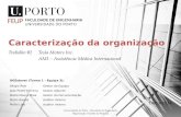Trabalho #2Tesla Motors Inc. AMI – Assistência Médica Internacional Caracterização da organização Universidade do Porto – Faculdade de Engenharia Organização.