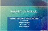Trabalho de Biologia Escola Estadual Santo Afonso Turma 201 Diogo Perdigão Priscila Silva Samuel Alves.