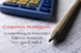 Conjuntos Numéricos Fundamentos de Matemática Ciências Biológicas Prof. Marco Marins.