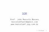 1: Introdução1 SOR Prof. João Marcelo Moraes marcelomfwatt@gmail.com .