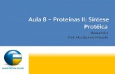 Aula 8 – Proteínas II: Síntese Protéica Bioquímica Prof. Msc Brunno Macedo.