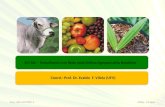 RIT DA – Trabalhando em Rede pela Defesa Agropecuária Brasileira Proc. 505.157/2007-1CNPq – CT-Agro Coord.: Prof. Dr. Evaldo F. Vilela (UFV)