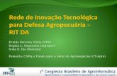 Evaldo Ferreira Vilela (UFV) Regina L. Sugayama (Agropec) Sofia K. Iba (Bolsista) Fomento: CNPq e Fundo para o Setor de Agronegócios (CT-Agro)