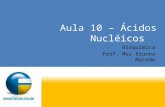 Aula 10 – Ácidos Nucléicos Bioquímica Prof. Msc Brunno Macedo.