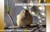 Lição de PERSEVERANÇA Música: Songbird – Barbra Streisand.