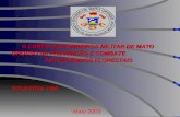 O CORPO DE BOMBEIROS MILITAR DE MATO GROSSO NA PREVENÇÃO E COMBATE AOS INCÊNDIOS FLORESTAIS PALESTRA: LBA Maio 2003.