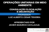 OPERAÇÕES UNITARIAS EM MEIO AMBIENTE COAGULAÇÂO FLOCULAÇÃO E DECANTAÇÃO PROFESSOR LUIZ ALBERTO CESAR TEIXEIRA APRESENTADO POR JAVIER BASURCO CAYLLAHUA.