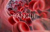 Sangue É um tecido conjuntivo líquido. É constituído por diversos tipos de células (elementos figurados),que constituem a parte "sólida" do sangue e cerca.