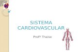 SISTEMA CARDIOVASCULAR Profª Thaise. INTRODUÇÃO Dentro desses tubos circula o sangue, impulsionado pelas contrações rítmicas do coração. O sistema cardiovascular.