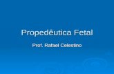 Propedêutica Fetal Prof. Rafael Celestino. Ultrassonografia Através da emissão e captação dinâmica de ondas sonoras em freqüências específicas, consegue.