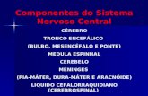 Componentes do Sistema Nervoso Central CÉREBRO TRONCO ENCEFÁLICO (BULBO, MESENCÉFALO E PONTE) MEDULA ESPINHAL CEREBELO MENINGES (PIA-MÁTER, DURA-MÁTER.