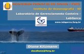 Dione Kitzmann docdione@furg.br Universidade Federal do Rio Grande – FURG Instituto de Oceanografia – IO Laboratório de Gerenciamento Costeiro – LabGerco.
