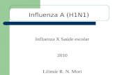 Influenza A (H1N1) Influenza X Saúde escolar 2010 Lilimár R. N. Mori.