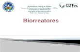 Biorreatores Denominam-se biorreatores, reatores bioquímicos ou reatores biológicos, os reatores químicos nos quais ocorrem uma série de reações químicas.