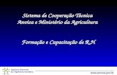 Agência Nacional de Vigilância Sanitária  Sistema de Cooperação Técnica Anvisa e Ministério da Agricultura Formação e Capacitação de R.H.