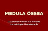 MEDULA ÓSSEA Dra Denise Ramos de Almeida Hematologia Hemoterapia.