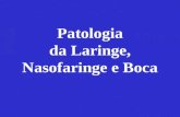 Patologia da Laringe, Nasofaringe e Boca. Câncer em geral e o câncer de boca 11 o No mundo OMS. 2004.