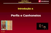 Introdução a Perfilagem e Canhoneio By: J.Salles Introdução a Perfis e Canhoneios.