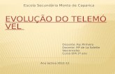 Escola Secundária Monte de Caparica Discente: Rui Pinheiro Docente: Mª de La Salette Vasconcelos Curso EFA 2º ano Ano lectivo 2011-12.